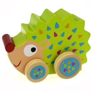 ECHIDNA WIND N WALK MUSIC BOX